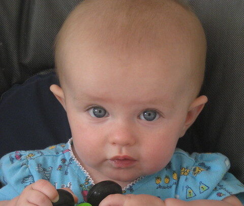 تطور القشرة الدماغية عند الأطفال واضطراباتها